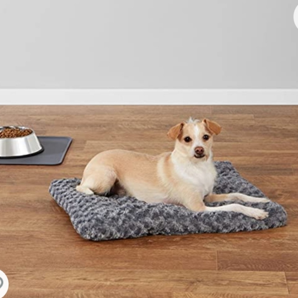 Basics Plush Dog Pet Bed Pad